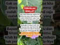 Teruslah sholat #story #shorts #kehidupan