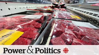 What's making groceries more expensive in Canada? | Power & Politics