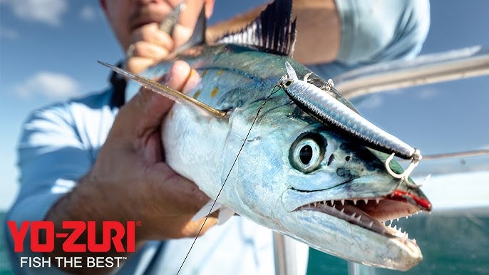 Trout Fishing: New Color Yo-Zuri Pins Minnow (2019) 