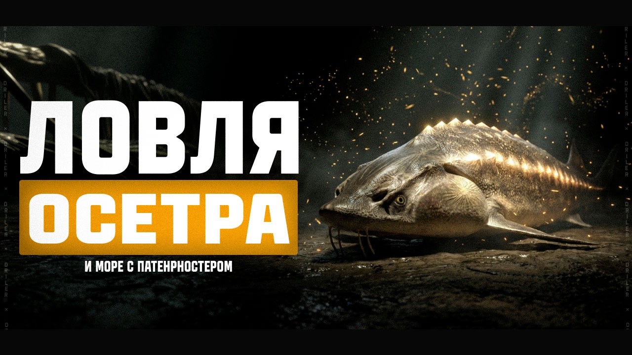 Ловля Осётра Русского на реке Ахтуба • Русская Рыбалка 4