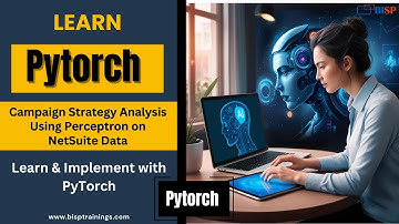 Campaign Strategy Analysis Using Perceptron on NetSuite Data | Oracle ERP AI Integration | ERP AI