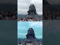 happy mahashivratri stutas 🙏🙏 #mahashivratri #shots #shivratristatus #songs #bhole #shiva #sambhu