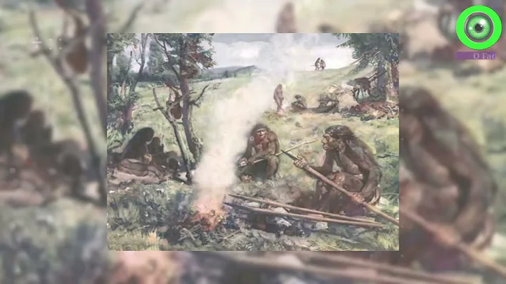 Evolution from ape to man. From Proconsul to Homo heidelbergensis