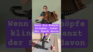 Hallo kleine Maus - Osterjause adé mit der #steirischeharmonika 🥰#volksmusik #quetschn #harmonica