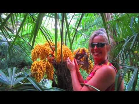 Canadas Hawai'ian Island