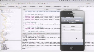 The Contexts and Dependency Injection API: Next Steps for the Platform and Future Directions