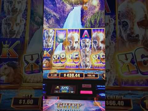 Slotting at Sea Aboard Carnival Jubilee | BIG WINS Playing My New Favorite Buffalo Slot | Part 6