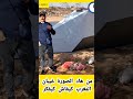 العكر فوق الخنونة  النظافه  اكسبلور