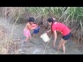 Amazing fishing at Pailin - Net fishing in Cambodia - How to Catches fish (Part 20)