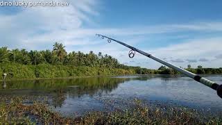 MANCING AMBYAR ASYIK2 CASTING DI DANAU MALAH KETEMU CEWEK CEWEK LAGI MANDI