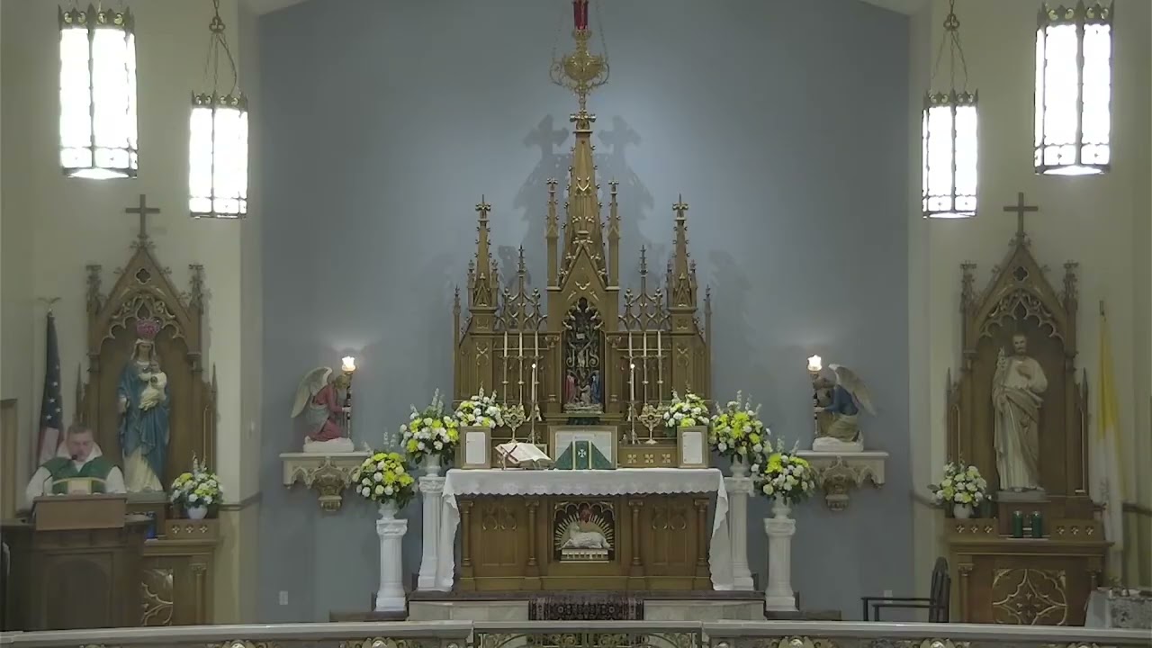 Fr. Aloysius - Sermon, 2nd Sunday after Pentecost, 2026