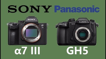 SONY Alpha a7 III vs Panasonic LUMIX GH5