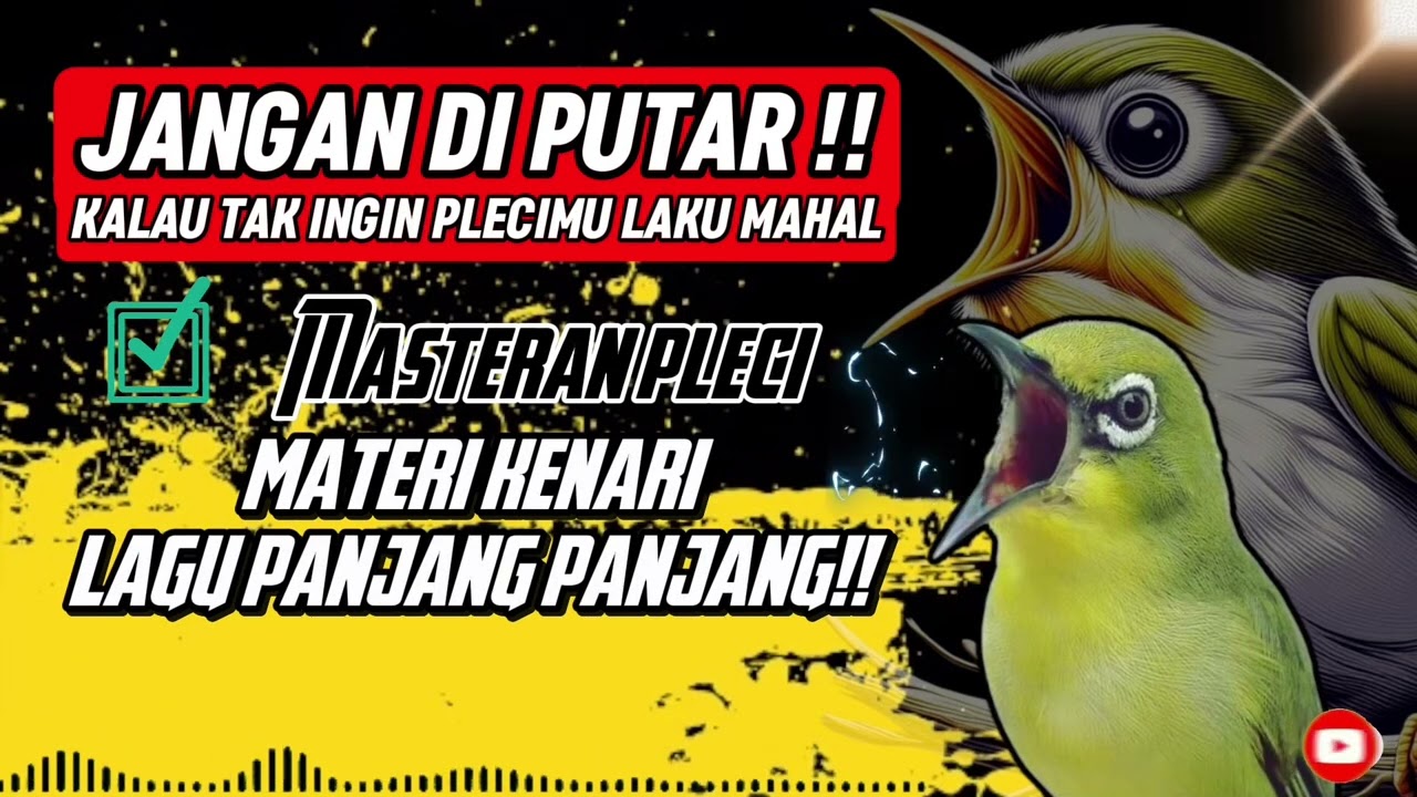 VIRAL 2025‼️ MASTERAN PLECI NEMBAK KENARI LAGU PANJANG PANJANG!! #pleci #plecigacor #masteranpleci