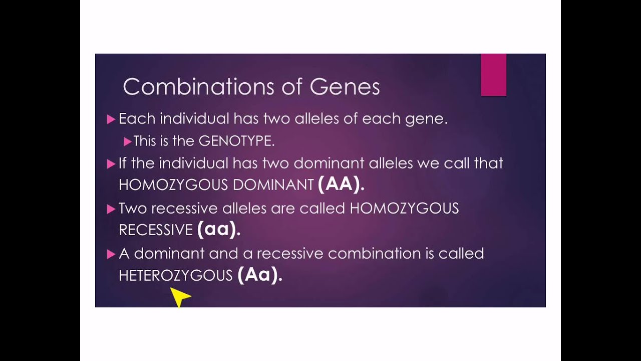 Introduction to Genetics - YouTube