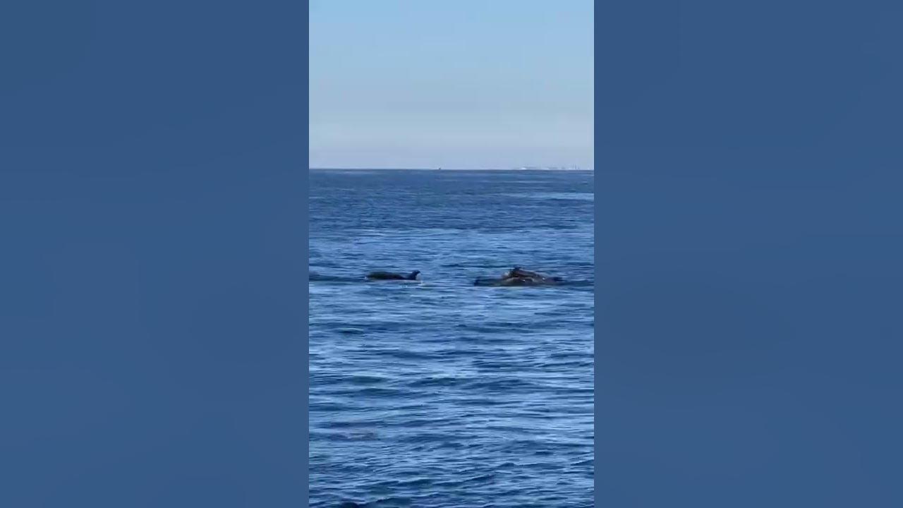 Петропавловск какое море там. Там где море сливается с небом. Да что там это море. Ты мое море. Да что там это море.