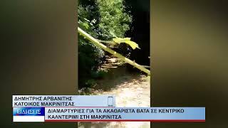 Βόλος Διαμαρτυρίες για τα ακαθάριστα βάτα σε κεντρικό καλντερίμι στη Μακρινίτσα 030726
