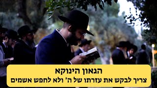 הגאון הינוקא - צריך לבקש את עזרתו של ה&#39; במקום להאשים אחד את השני | The Yanuka - English subs