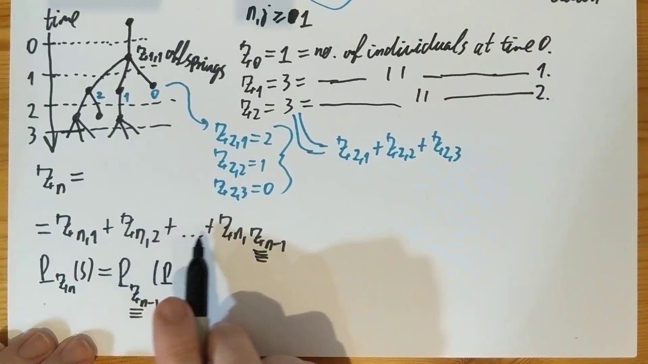 Galton watson process - gradegerty