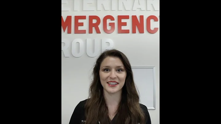 A Day in the Life of Dr. Bethany Weinheimer - Hosp...