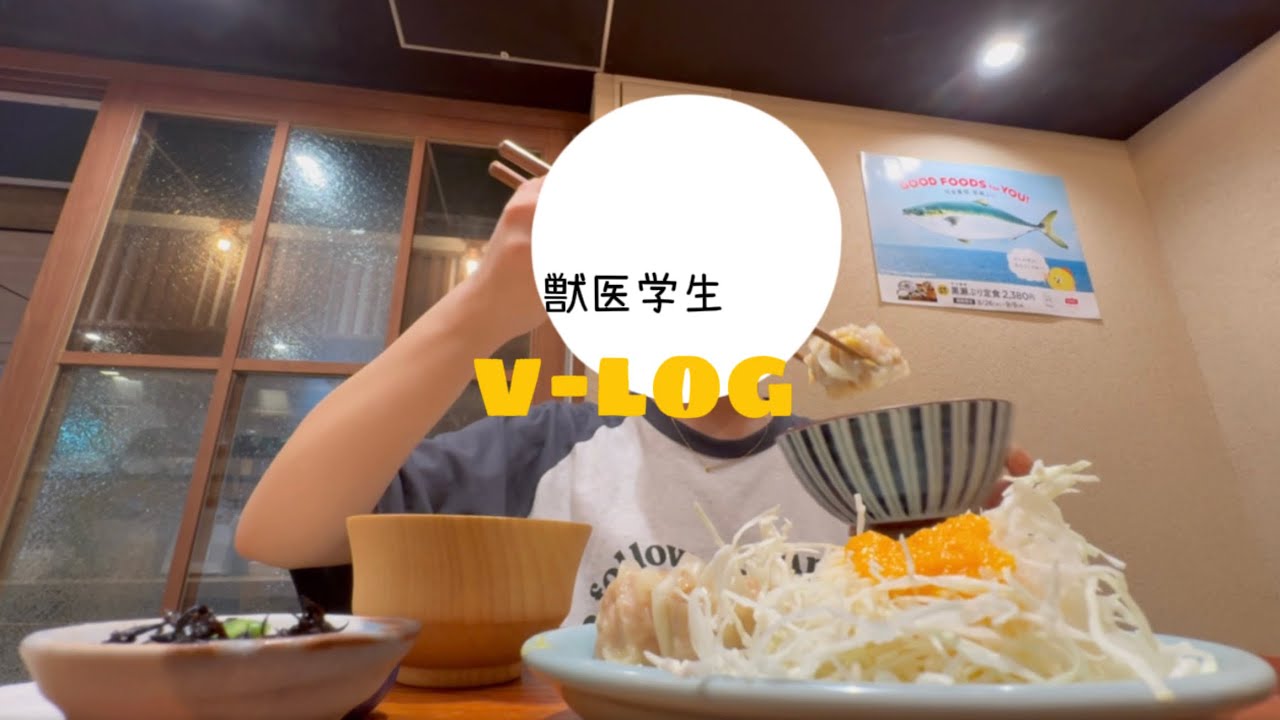 【獣医学生】暇さえあれば帰省します🏠 / 勉強の雑談📚💭