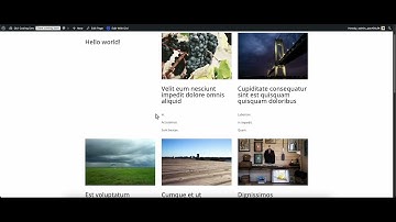 Divi Loop Extended - ACF Relationship Loop