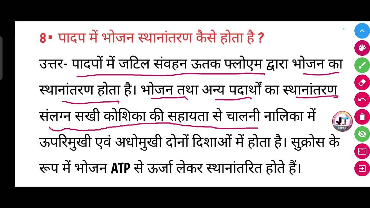 पादप में भोजन स्थानांतरण कैसे होता है? padap mein bhojan sthanantaran
