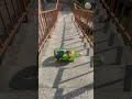 🏎️ Luxury Supercar Bottle vs Giant Stairs ✨ #shorts