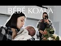 Bb koala  vlog