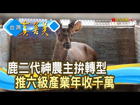 鹿二代創“牧場到餐桌”｜台灣鹿種鹿場｜【台灣真善美】2024.06.02