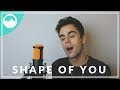 Ed Sheeran - Shape of You [Cover]