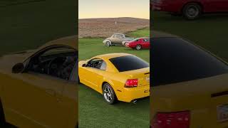 Screaming Yellow and Sonic Blue Terminator Cobras at beautiful Sand Hollow Golf Course Car show