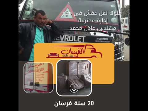 20 سنة فرسان ملوك نقل عفش فى مصر