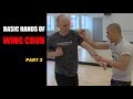 Basic Hands of Wing Chun pt 2 -Adam Chan