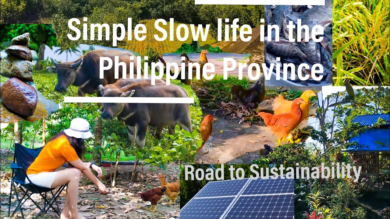 Slow life in the Philippines | Buhay Probinsya - YouTube