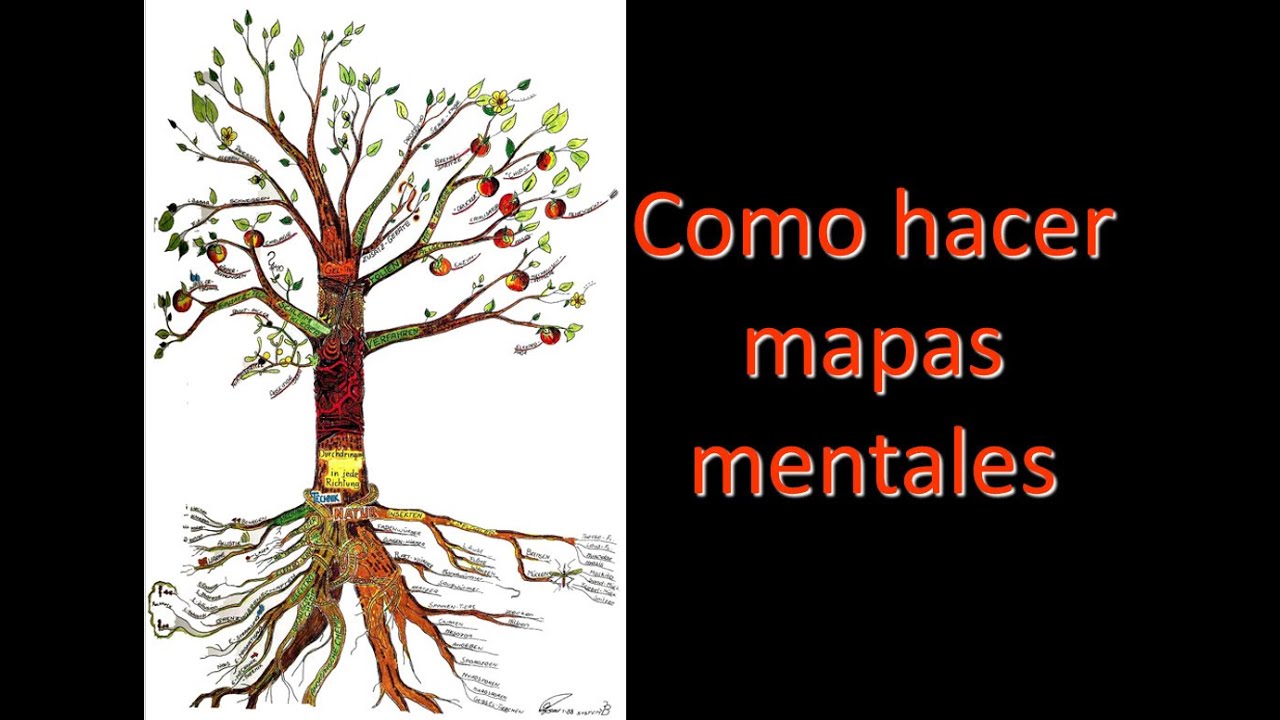Como hacer mapas mentales. Video clase N 18 clave 14  los mapas mentales. Curso virtual.