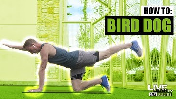 How To Do The BIRD DOG | Exercise Demonstration Video and Guide