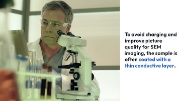 Microscopes SEM and TEM (Part II)