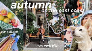 usa vlog  🍂 new york city, bookstores, solebury orchards, autumn days, the phillies & my dog