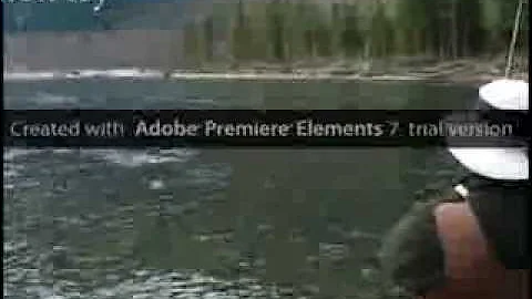 Bull Trout Fly Fishing - British Columbia with Silversides Fishing