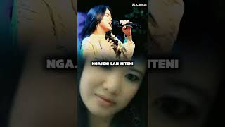 Omongane Di Duknesitik Ya