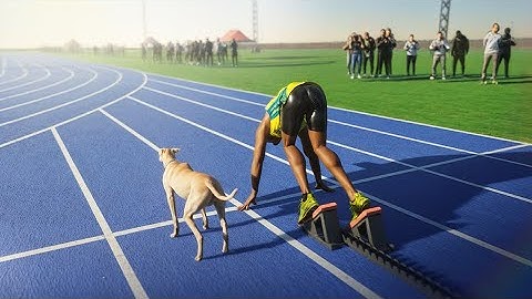 Usain Bolt VS Fastest Dog