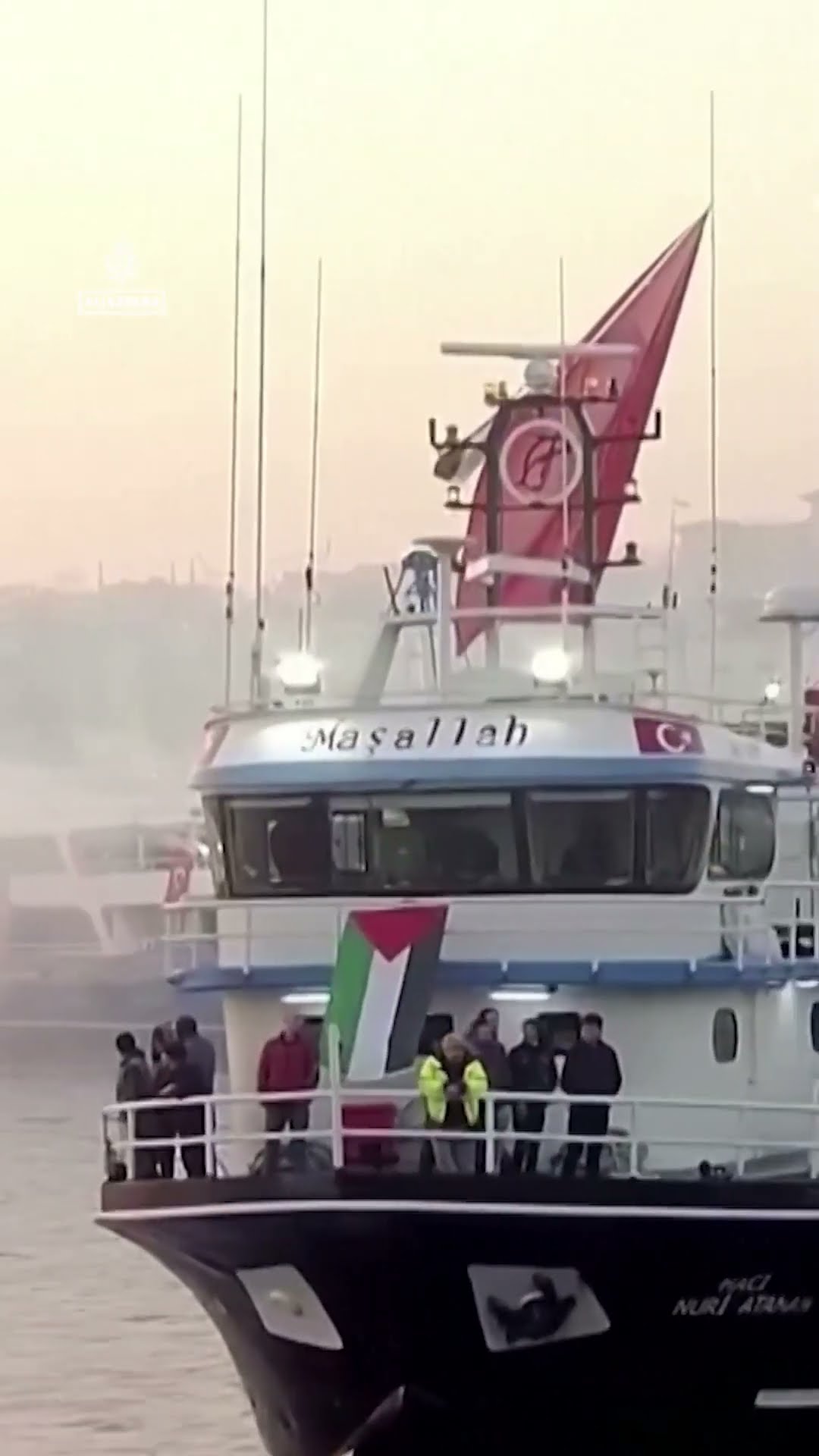 Pro-Palestine protesters in Turkiye rally on New Year's Day | AJ #shorts