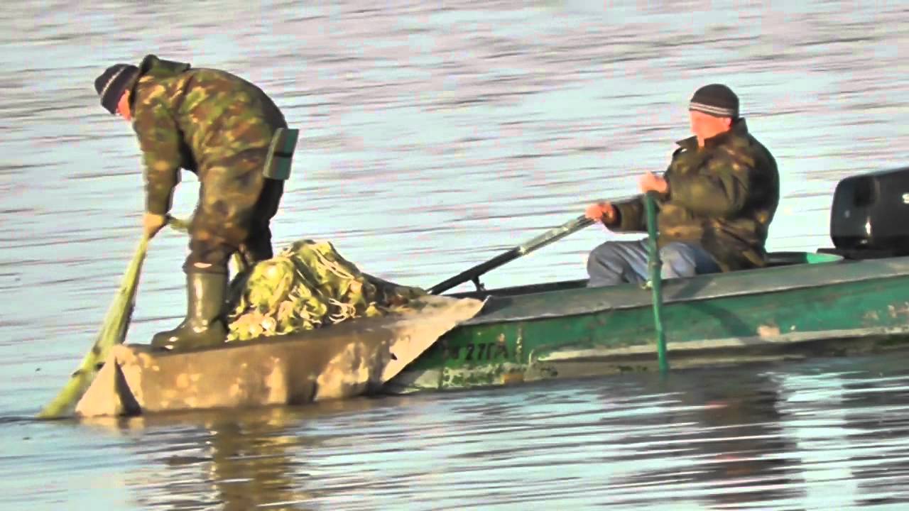 Браконьеры на волге