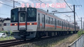 【train videos】ＪＲ東海３１１系Ｇ１４編成