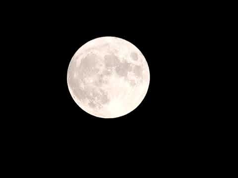 Full Moon July 23, 2021