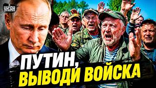 ПАНИКА на болотах: "МЫ ПРОИГРЫВАЕМ"! Z-военкоры ЗАВЫЛИ. Путин, ОСТАНАВЛИВАЙ ВОЙНУ. Ситуация НА ГРАНИ
