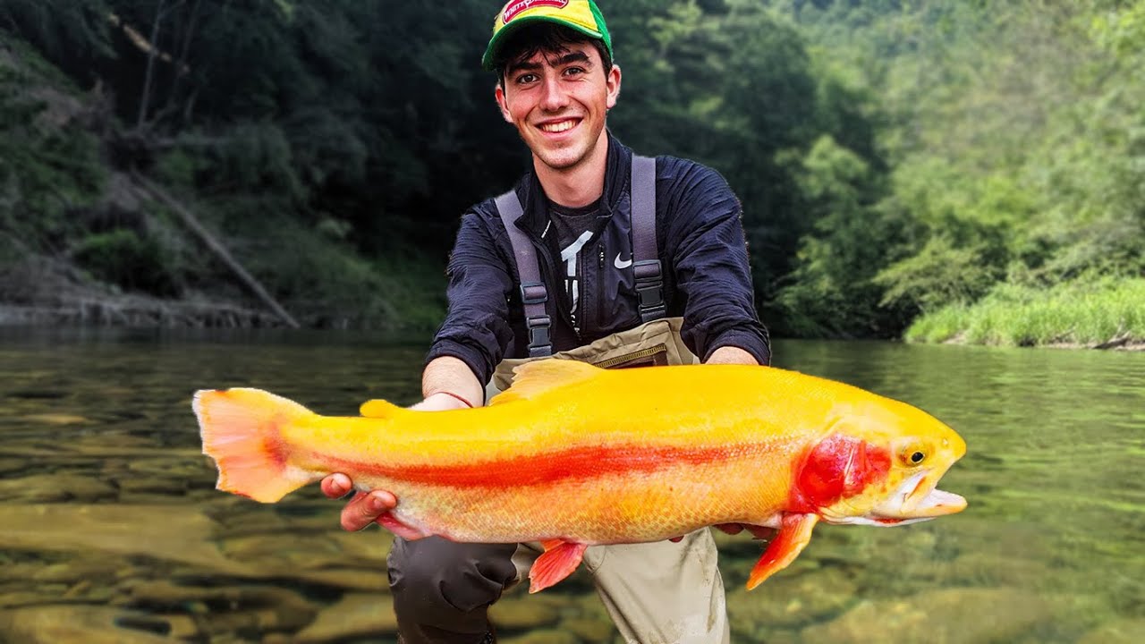 Best LURES and TACTICS to Catch The Biggest Trout PA Trout Fishing Secrets Revealed Big Palomino