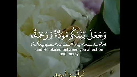 Surah ar Room, Verse:21, AlMinshawi|سورة الروم, آية: ٢٢، الشيخ المنشاوي