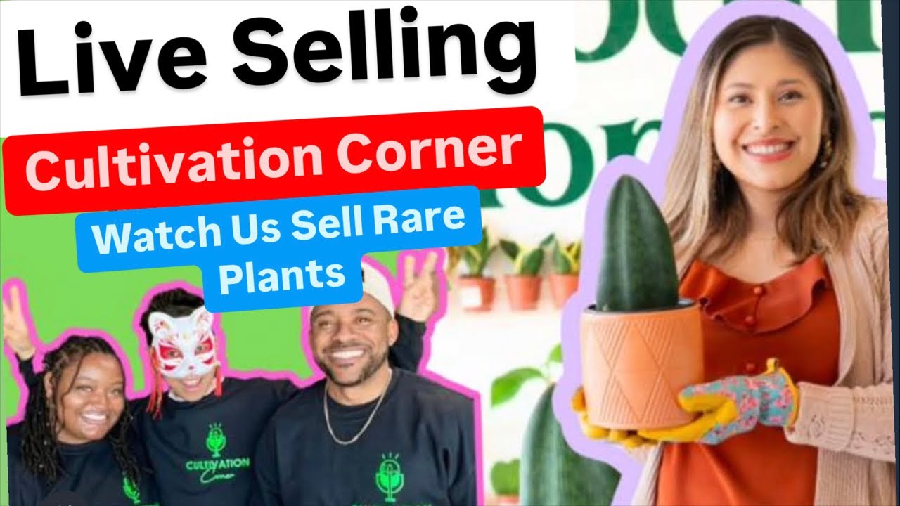 Cultivation Corner Sells Rare Houseplants at Pitas Planters Live Stream