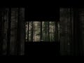 forest vibe #rekk#reekk